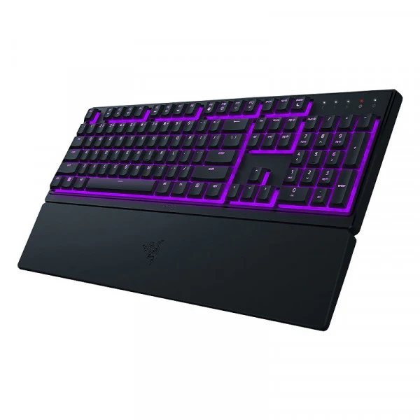 Bundle Razer DeathAdder Essential + Kraken X Lite + Ornata V3 X - Image 3